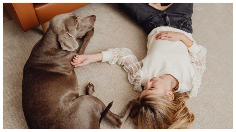 Pet Guide Lwmfpets From Lookwhatmomfound